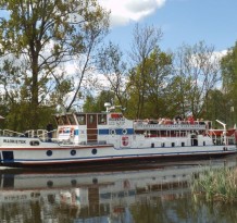 łokietek